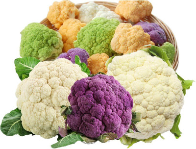 CYBEXIS XLR-40 - Non-GMO Mix Cauliflower - (1350 Seeds) Seed(1350 per packet)