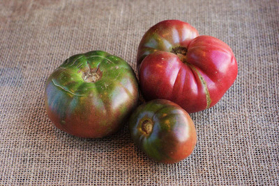 CYBEXIS LX-81 - Tomato - Cherokee Purple Slicing - (450 Seeds) Seed(450 per packet)