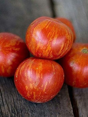 VibeX ® XLR-694 Tigerella Beefsteak Tomato Giant Seeds Seed(200 per packet)