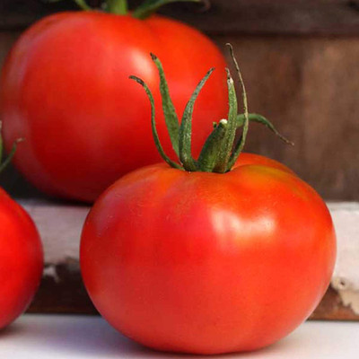 VibeX ® VXI-831 Marglobe Tomato Seed Seed(200 per packet)