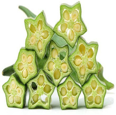 CYBEXIS VXI-19 - Native/Non-GMO Bhindi/Okra Vegetable - (150 Seeds) Seed(150 per packet)