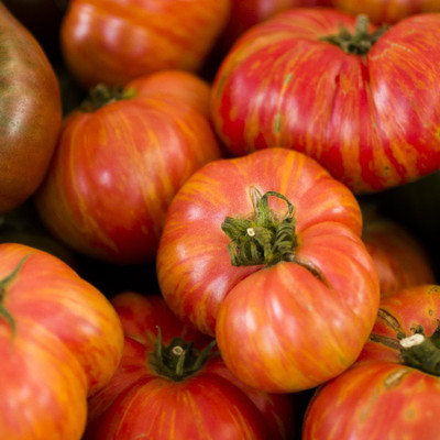 VibeX ® VXI-1097 Cherry Tomato Mix Seeds Colours Blend Seed(200 per packet)