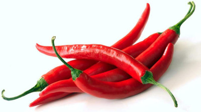 CYBEXIS XLL-69 - Tabasco Hot Peppers Chilli - (1350 Seeds) Seed(1350 per packet)