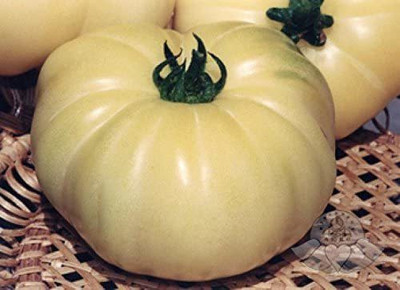 VibeX ® LXI-639 Great White Tomato Seeds Seed(200 per packet)