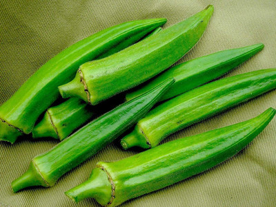 VibeX ® XXL-480 Dwarf-Stalk Long Green Okra Seed(100 per packet)