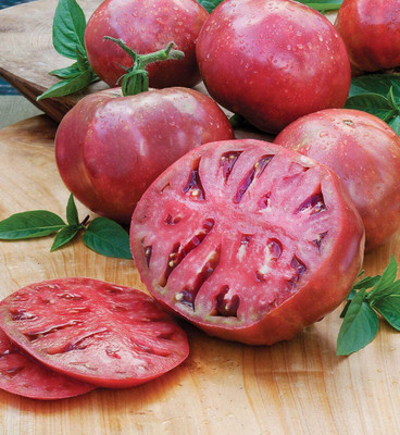 CYBEXIS LX-47 - Cherokee Purple Slicing Tomato - (150 Seeds) Seed(150 per packet)