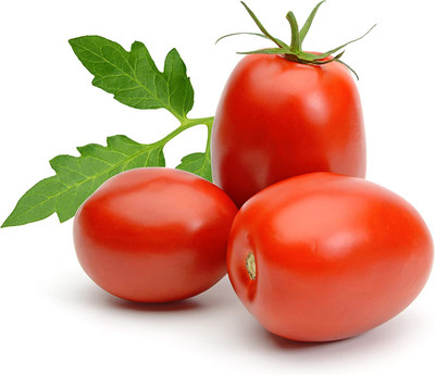 WILLVINE IARI-307 Heirloom Roma Tomato Seeds-1000 Seeds Seed(1000 per packet)