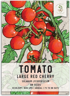 VibeX Tomato Seed(80 per packet)