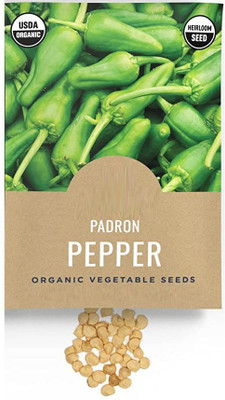 CYBEXIS PAU-96 - Padron Pepper Chilli - (1350 Seeds) Seed(1350 per packet)