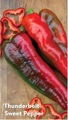 CYBEXIS KGF -54 - Hybrid Chilli hot cayenne peppers - (150 Seeds) Seed(150 per packet)
