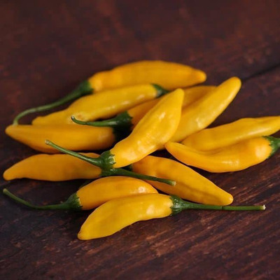 VibeX ® LXI-906 Mild Hot Peruvian Lemon Chilli Seeds Seed(200 per packet)