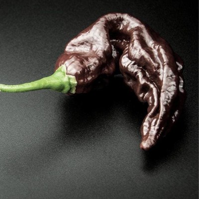 VibeX ® XLR-891 Rare Black Naga Chilli Seeds Seed(200 per packet)