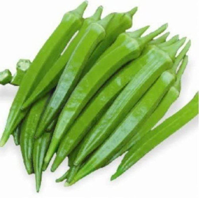 CYBEXIS VXI-53 - OKRA SINGHEM ( - (1350 Seeds) Seed(1350 per packet)