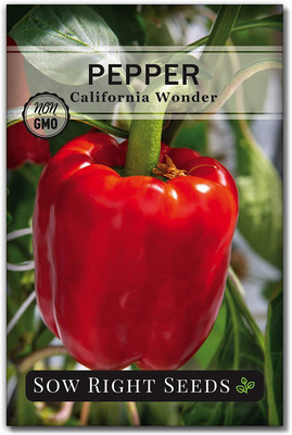 VibeX NBIR-8 - California Wonder Pepper Chilli - (450 Seeds) Seed(450 per packet)