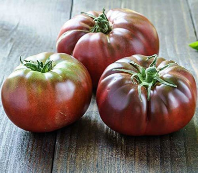 VibeX NBIR-42 - Black Prince Tomato Non GMO - (1350 Seeds) Seed(1350 per packet)