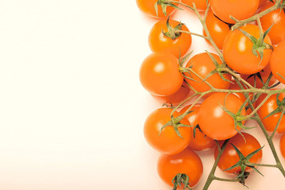 WILLVINE VVI-378 Sunsugar Hybrid - Tomato Seeds Seed(200 per packet)