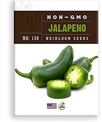 CYBEXIS PUAS-9 - Jalapeno Chilli Pepper - (1350 Seeds) Seed(1350 per packet)
