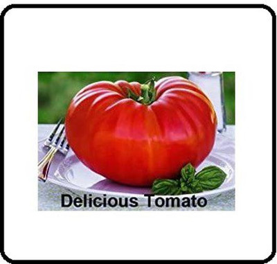 Biosnyg ™SBN-125 GIANT Delicious Tomato Seed(200 per packet)