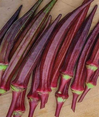 Aywal High Yield Red Lady Finger Hybrid F1 SUPREME Seed(400 per packet)