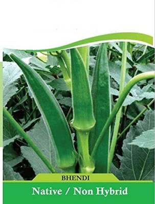 VibeX NDIR-17 - Ladies Finger Okra - (1350 Seeds) Seed(1350 per packet)