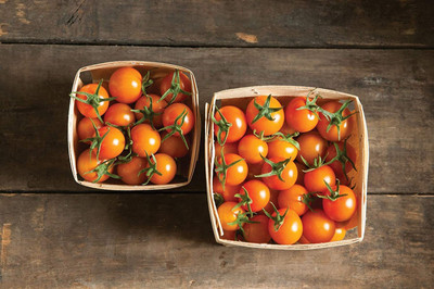 VibeX ® XLR-407 Tomato Cherry Sun Gold (Orange)Seeds Seed(200 per packet)