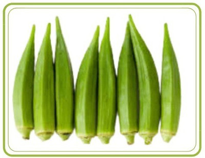 CYBEXIS NBIR-42 - Non-GMO Bhindi/Okra Vegetable - (150 Seeds) Seed(150 per packet)