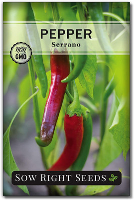 VibeX PAU-45 - Serrano Pepper Chilli - (1350 Seeds) Seed(1350 per packet)