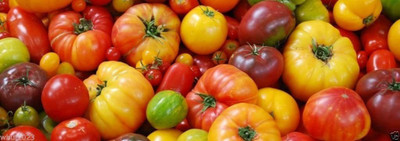 WILLVINE XL-1015 Heirloom Tomato Seeds (All Sort Mix) Seed(200 per packet)