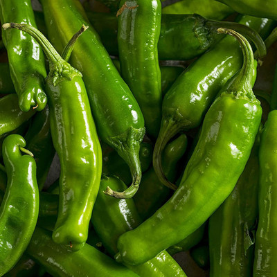VibeX LX-30 - Japanese Wrinkled Pepper Shishito Pepper Chilli - (450 Seeds) Seed(450 per packet)