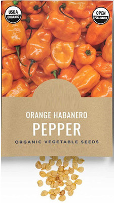CYBEXIS NBIR-93 - Orange Habanero Chilli - (1350 Seeds) Seed(1350 per packet)