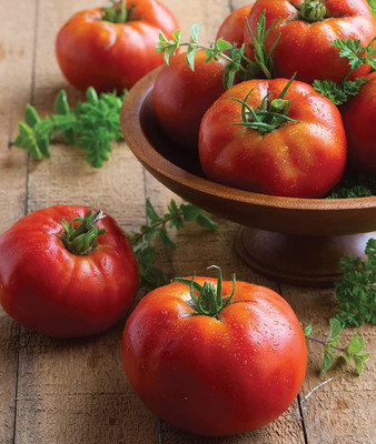 CYBEXIS HUA-99 - Big Daddy' Slicing Tomato - (150 Seeds) Seed(150 per packet)