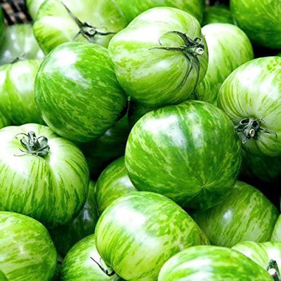 VibeX ® RXI-878 Green Zebra Tomato Seeds Seed(200 per packet)