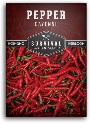 VibeX GBPUT-10 - Red Chilli Cayenne Pepper - (1350 Seeds) Seed(1350 per packet)