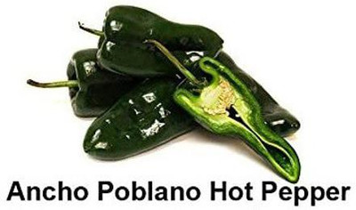 VibeX ATS-16 - Ancho Poblano Chilli - (1350 Seeds) Seed(1350 per packet)
