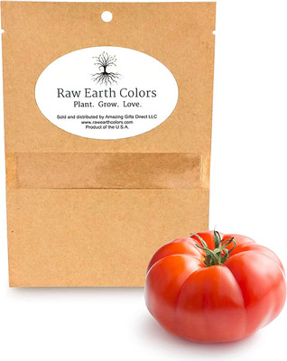 CYBEXIS VXI-36 - Beefsteak Tomato - (150 Seeds) Seed(150 per packet)