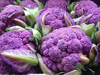 VibeX TLX-75 - Vegetable Cauliflower Purple - (1350 Seeds) Seed(1350 per packet)