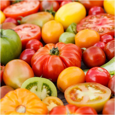 WILLVINE ATS-764 Tomato Seeds Rainbow Blend Seed(200 per packet)