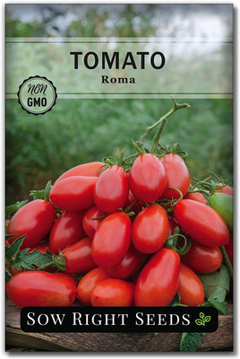 CYBEXIS GBPUT-10 - Roma Tomato - (1350 Seeds) Seed(1350 per packet)