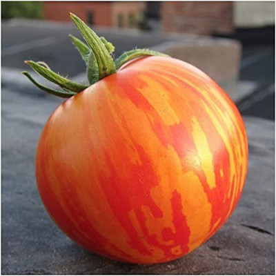 CYBEXIS XL-63 - Red Zebra Tomato - (1350 Seeds) Seed(1350 per packet)