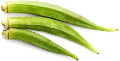 WILLVINE KGF -486 Dwarf-Stalk Long Green Okra -200 Seeds Seed(200 per packet)
