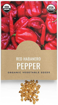 CYBEXIS VVI-89 - Red Habanero Chilli - (1350 Seeds) Seed(1350 per packet)