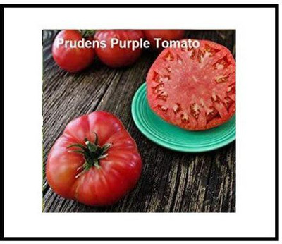 CYBEXIS XLL-1 - Prudens Purple Tomato - (150 Seeds) Seed(150 per packet)