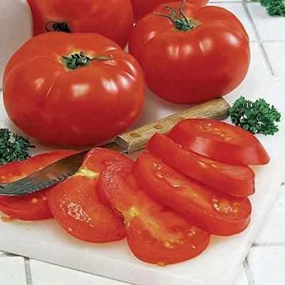 WILLVINE LX-336 Big Beef Hybrid Seed(200 per packet)