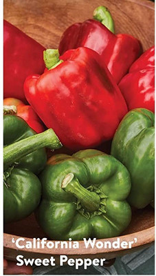 VibeX NDIR-85 - Hybrid Bell peppers - (450 Seeds) Seed(450 per packet)