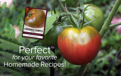 Biosnyg ™GUA-281 Cherokee Purple Tomato Seed(200 per packet)