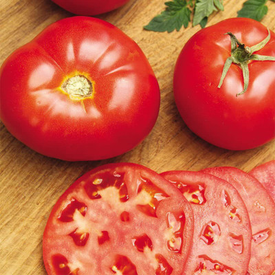 WILLVINE XLL-256 Organic Beefsteak Tomato seeds Seed(200 per packet)