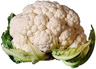 CYBEXIS XLL-52 - Cauliflower - Snowball Self-Blanching - (450 Seeds) Seed(450 per packet)