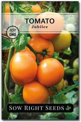 CYBEXIS XLR-6 - Jubilee tomato - (150 Seeds) Seed(150 per packet)