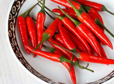 VibeX XLR-91 - Bird Eye Chili Pepper - (1350 Seeds) Seed(1350 per packet)