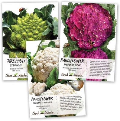 CYBEXIS HUA-48 - Cauliflower-3 Variety-Romanesco,Purple Sicily,Snowball - (450 Seeds) Seed(450 per packet)